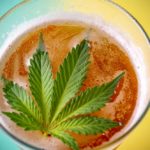 A Guide to Cannabis Beer