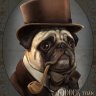 montytheyank