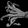 Enteroctopus