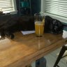 beerguy001