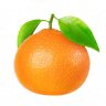 Tangy