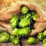 Carbon_Hops