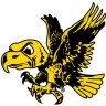 AughtSixHawk
