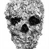 DyingPhenix