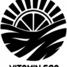 VSB_dino