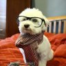 DrGriff