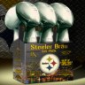 steelbrews