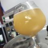 ThreeDogsBrewing603
