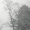 Shnowyshpirit