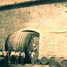 Foeder82