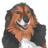 ruffstitch