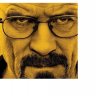 walterwhite