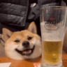 sirwaffleshnoz
