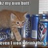 Pattelbert