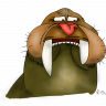 walrus024