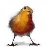 sneakybird