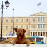 patra7