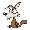 BEERWOLF1951
