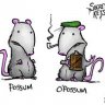 Hopposum