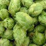 Leavemyhopsalone