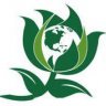 GreenMayor