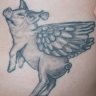 mrpigasus