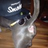 OGkushington