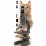 scullycain