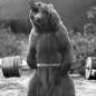 Squats_McGillicuddy
