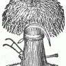 dandano