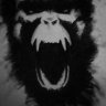 monkeytrent