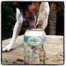 Bigintobeer