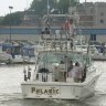Pelagic