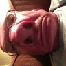 nose4beer