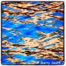 barryjr8883