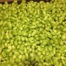 BillyBeersBrew