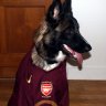 Gooners