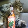 DrinkInsider