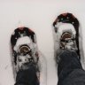 L-ski