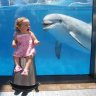 kittyshark