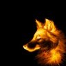 Dr_Fox