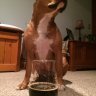 ScottDrinksBeer