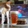 BrewPSU