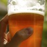 Hopsbythebay