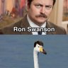 SwanRonson