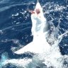 Tunafish2345