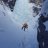 Photo of cosmiques