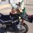 Photo of ldavi258