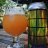 Photo of Steve_Tkachuk
