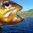 Photo of rmtrout